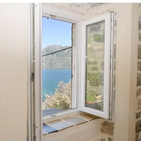 Palata Florio Lukovic Homestay